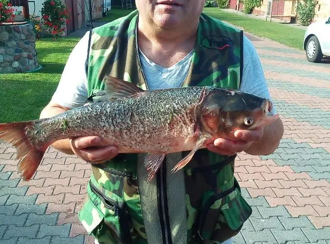 Nad Stawem Mazuchowka