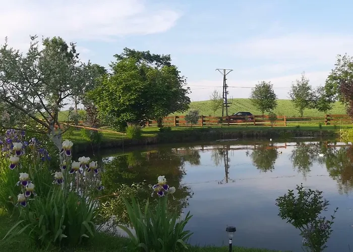 Nad Stawem Mazuchowka *